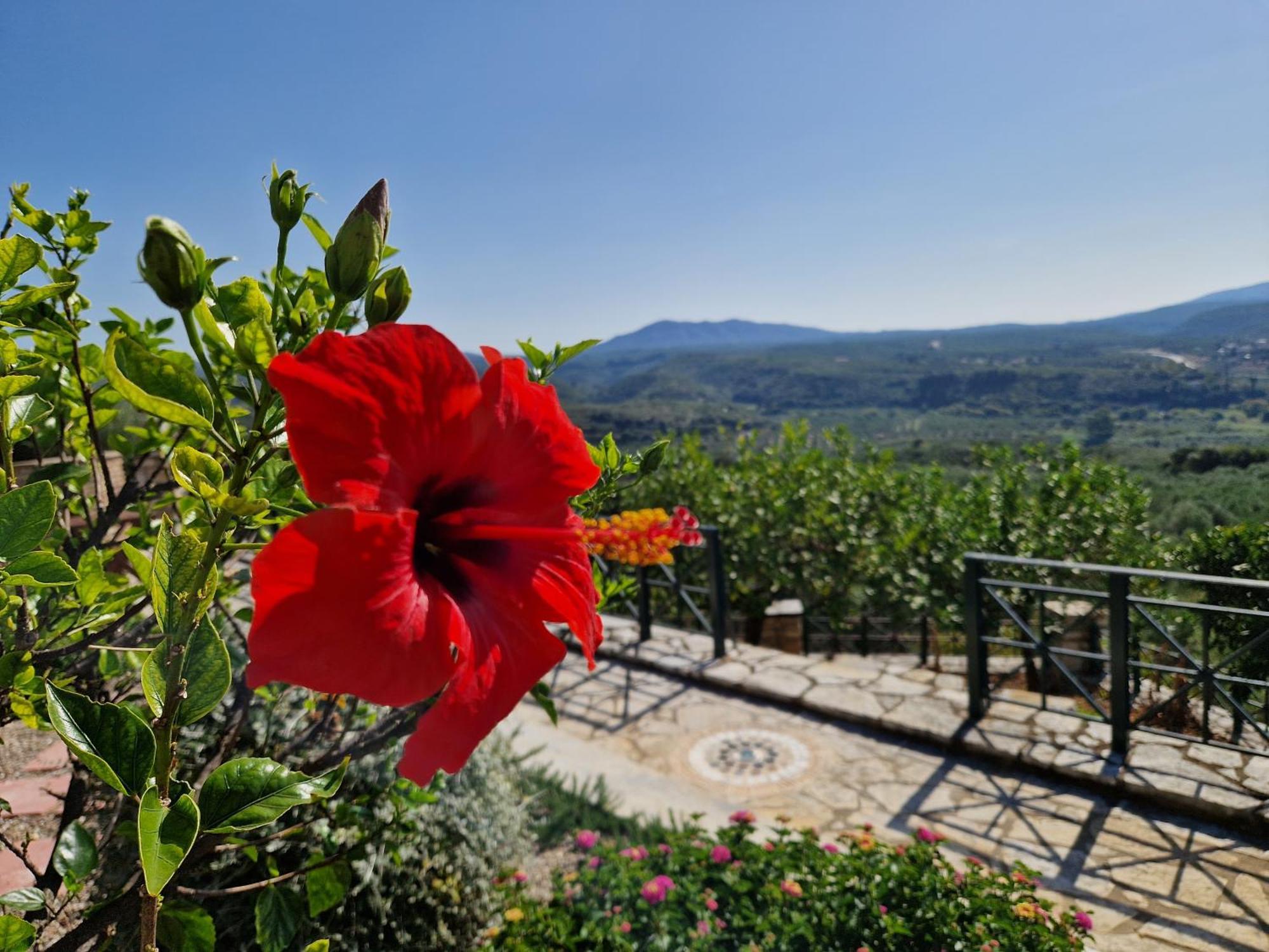 Tragana Villa Exterior foto